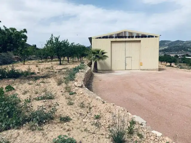 Terreny rústic en venda a La Romana, imagen 4
