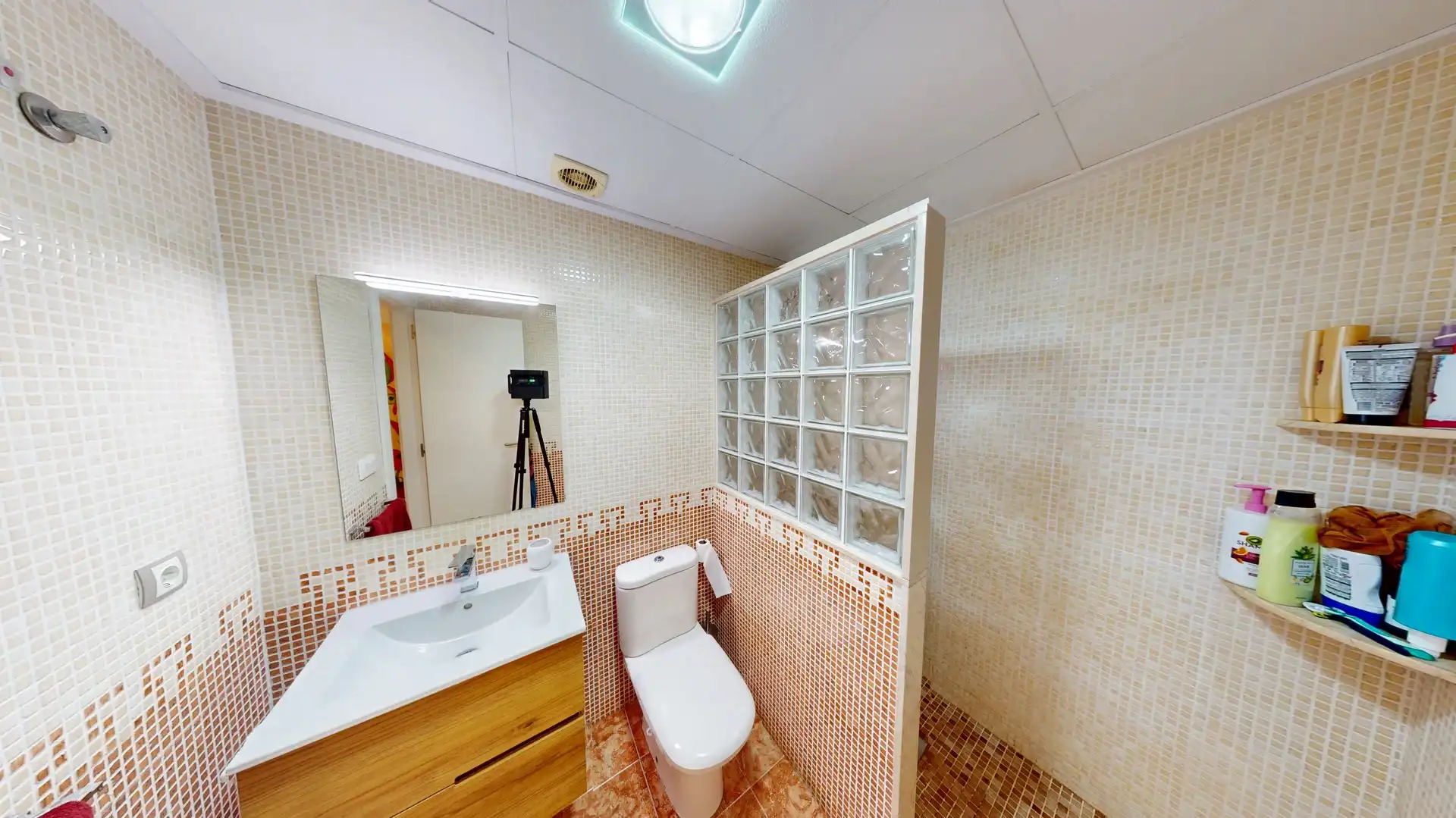 Bathroom of Detached homes for sale in Elche ciudad