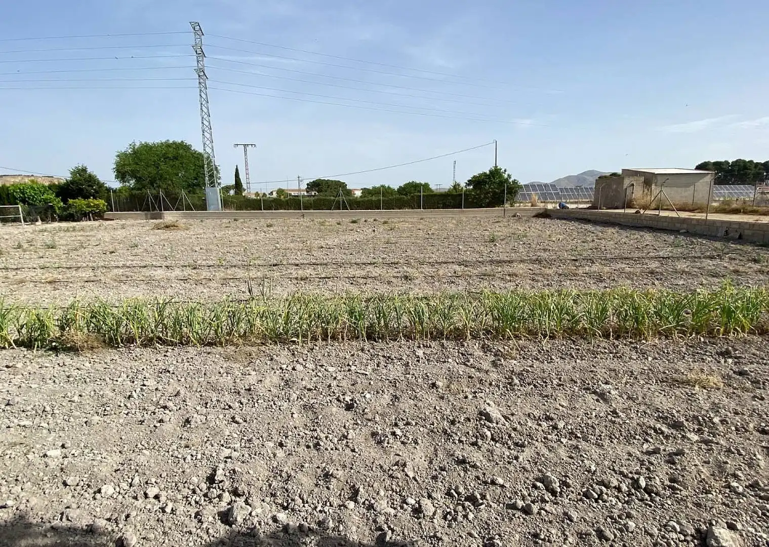Casa o xalet en venda en Villena amb Terrassa