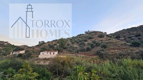 Caserón antiguo a reformar en el campo de Torrox, immagine 2