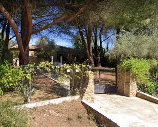 Jardí de Finca rústica en venda en Piedrabuena amb Terrassa