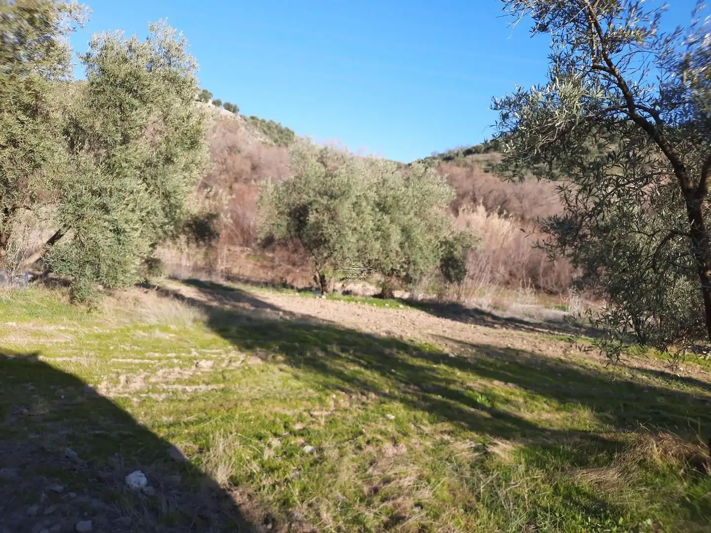 Terreno residencial en venta en Jauja, imagen 13