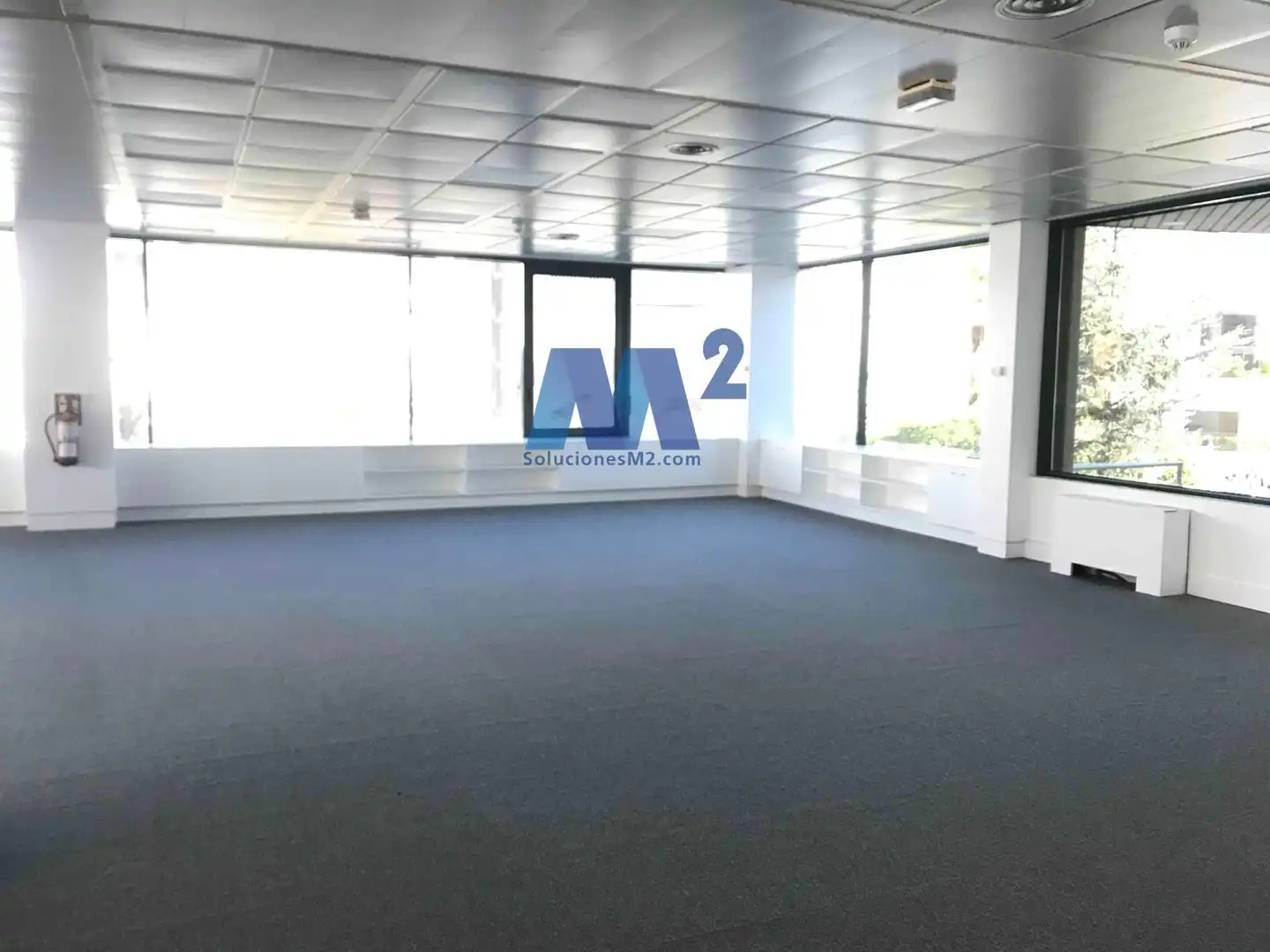 Office space to rent in Europa, imagen 3