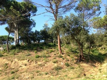 Terreno residenziale in vendita a Carrer Muntanya 739B