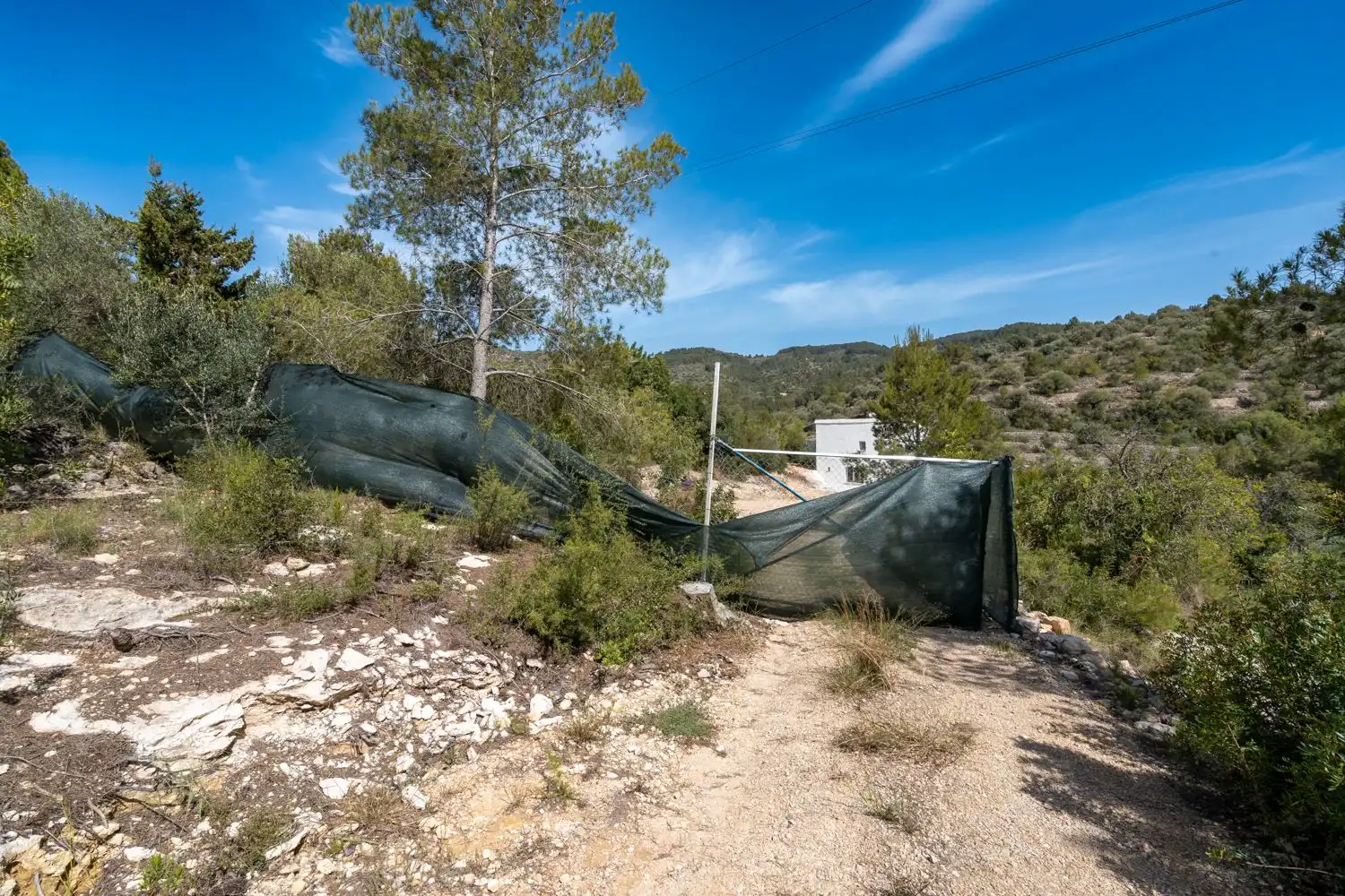 Finca rústica en venta en Tortosa