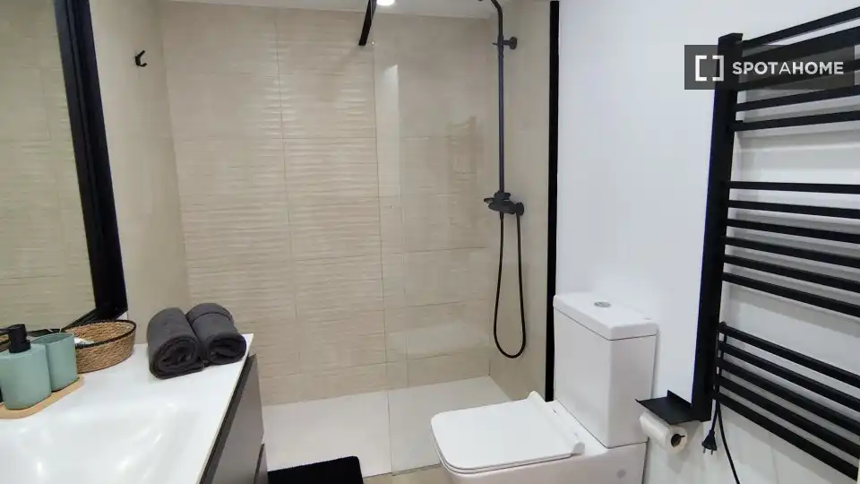 Bathroom of Apartments for share in Calvià  with Air Conditioner, Terrace and Furnished