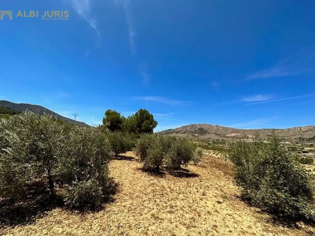 Casa o chalet en venta en La Romana