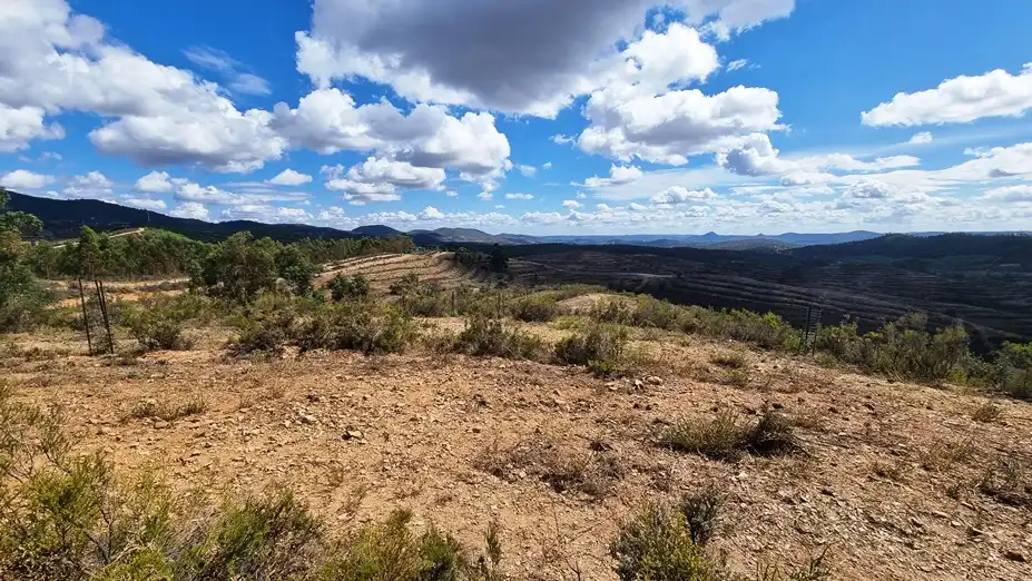 Finca de alcornoques en Higuera de la Sierra, imatge 2