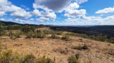 Finca de alcornoques en Higuera de la Sierra, imatge 2