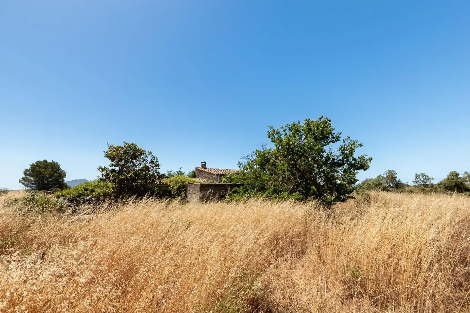 Finca rústica en venda en Felanitx amb Terrassa