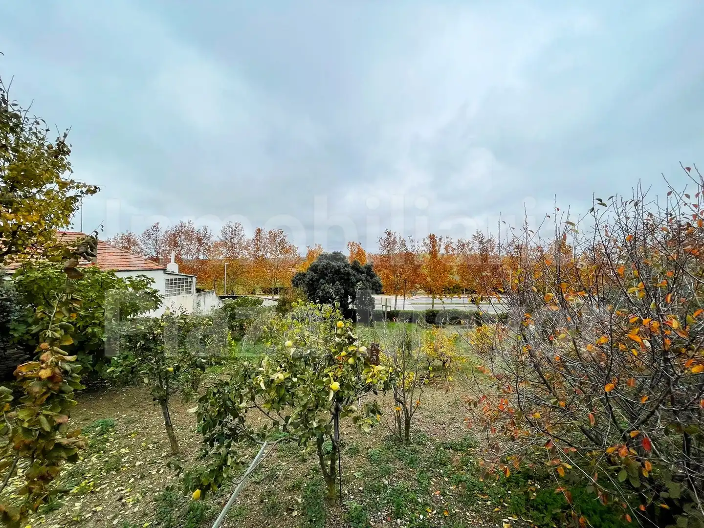 Terreny residencial en venda a Camino Moral, imagen 3