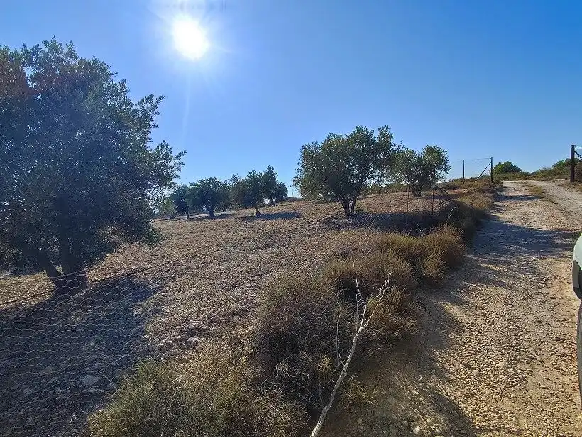 Finca rústica en venda en Tobarra amb Jardí privat, Terrassa i Traster