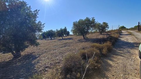 Foto 4 de Finca rústica en venta en Tobarra, Albacete