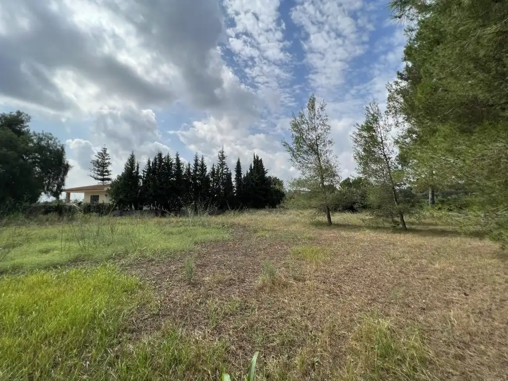 Terreny residencial en venda a Alberic, imagen 43