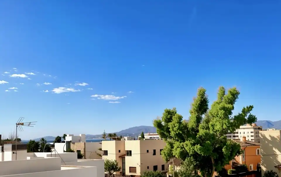 Haus mit Terrasse zum Verkauf in Platja de Palma, imagen 15