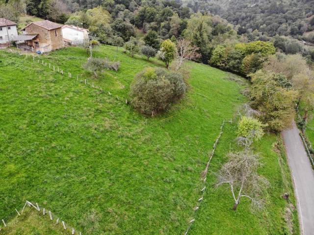 Terreno residencial en Venta en Piloña