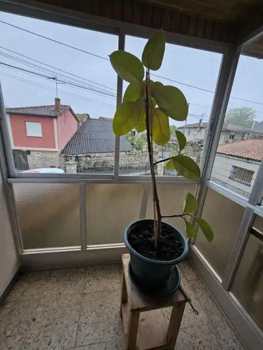 Casa en venda a Vilamarín, imagen 8