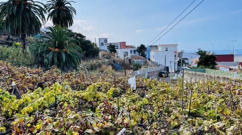Foto 2 de Residencial en venda a La Vera - El Farrobillo - Tosca de Ana María, Santa Cruz de Tenerife