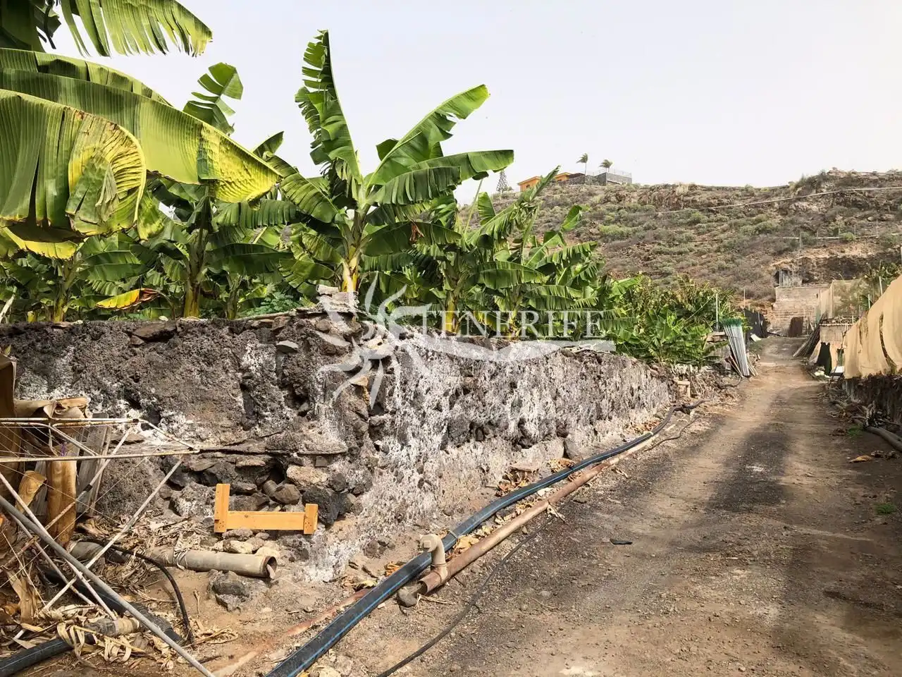 Vista exterior de Finca rústica en venta en Guía de Isora con Jardín privado, Trastero y Amueblado