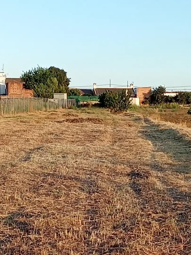 Land for sale in Almodóvar del Río