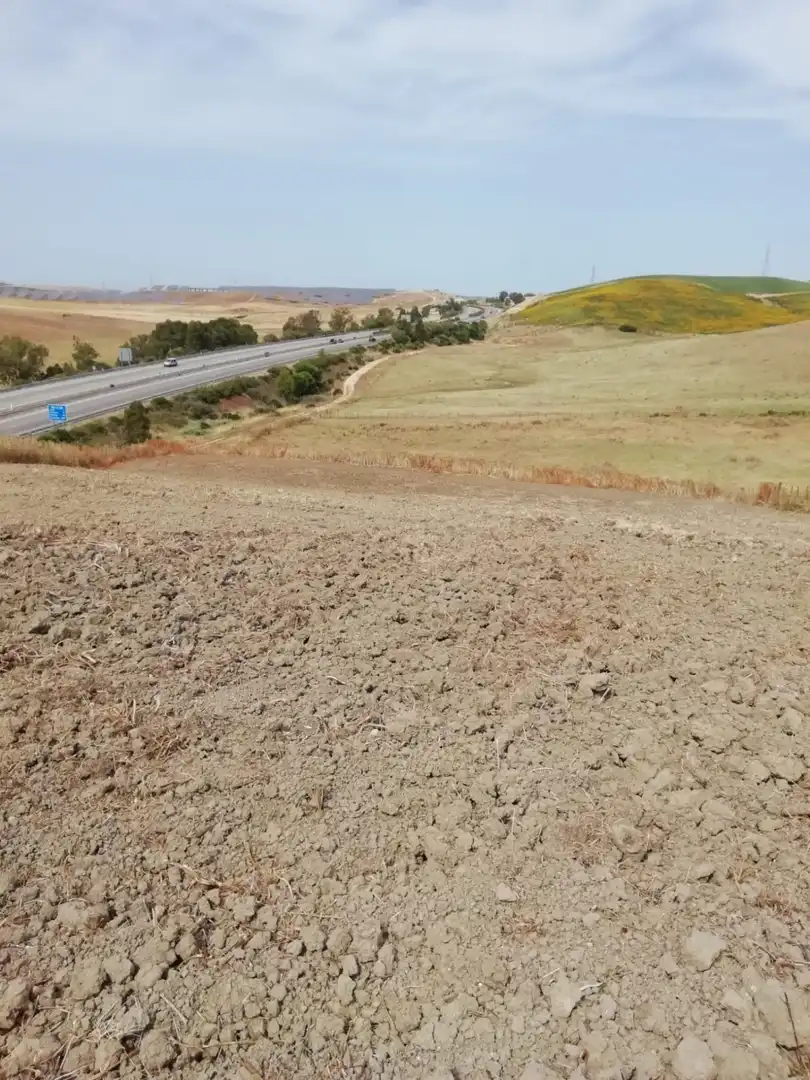 Terreno rustico in vendita a Barbate ciudad, imagen 7