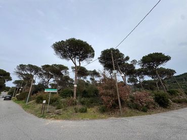 Terreni e lotti in vendita a Carrer Vallès