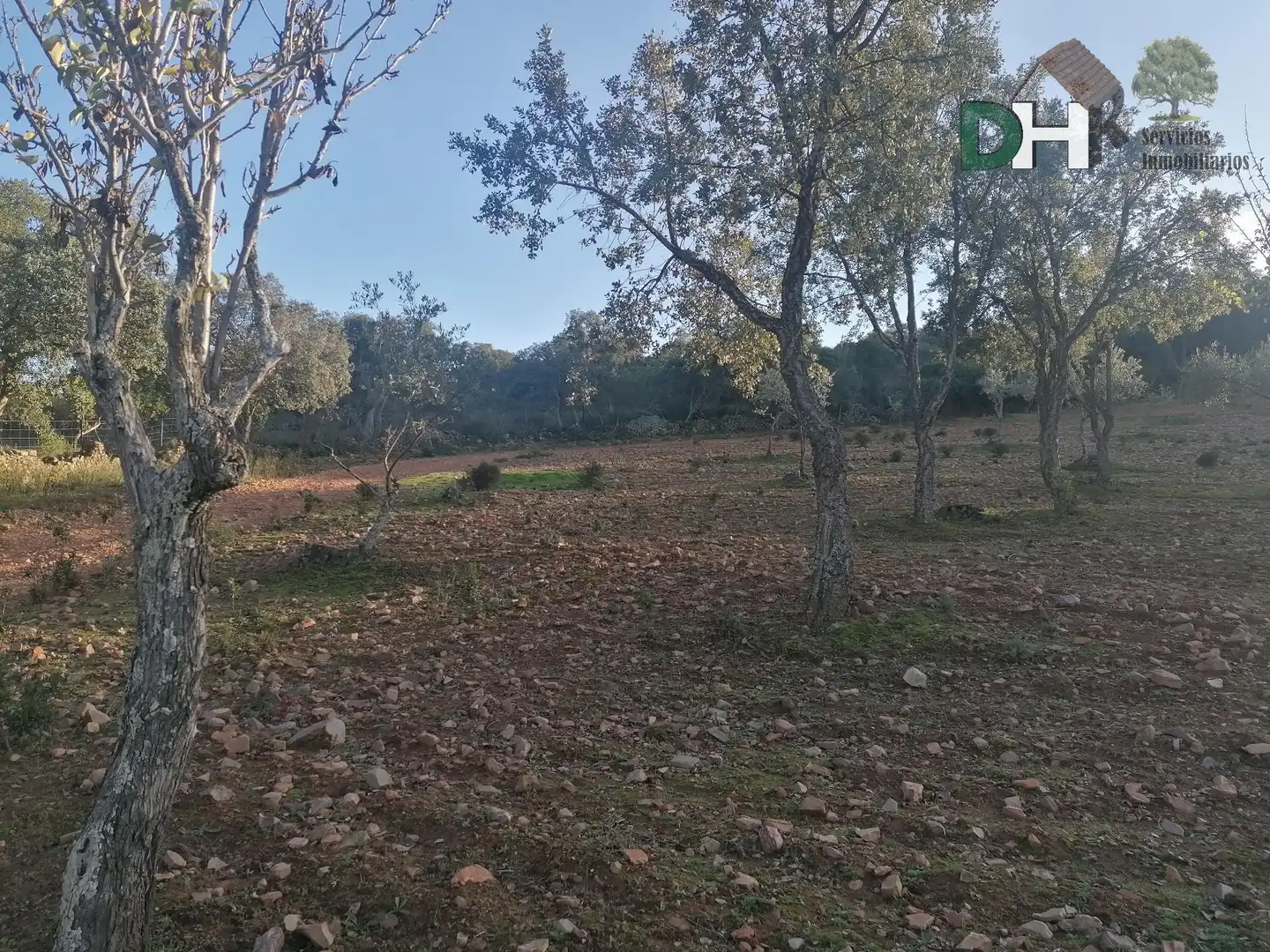 Finca rústica en venta en Estación Arroyo Malpartida
