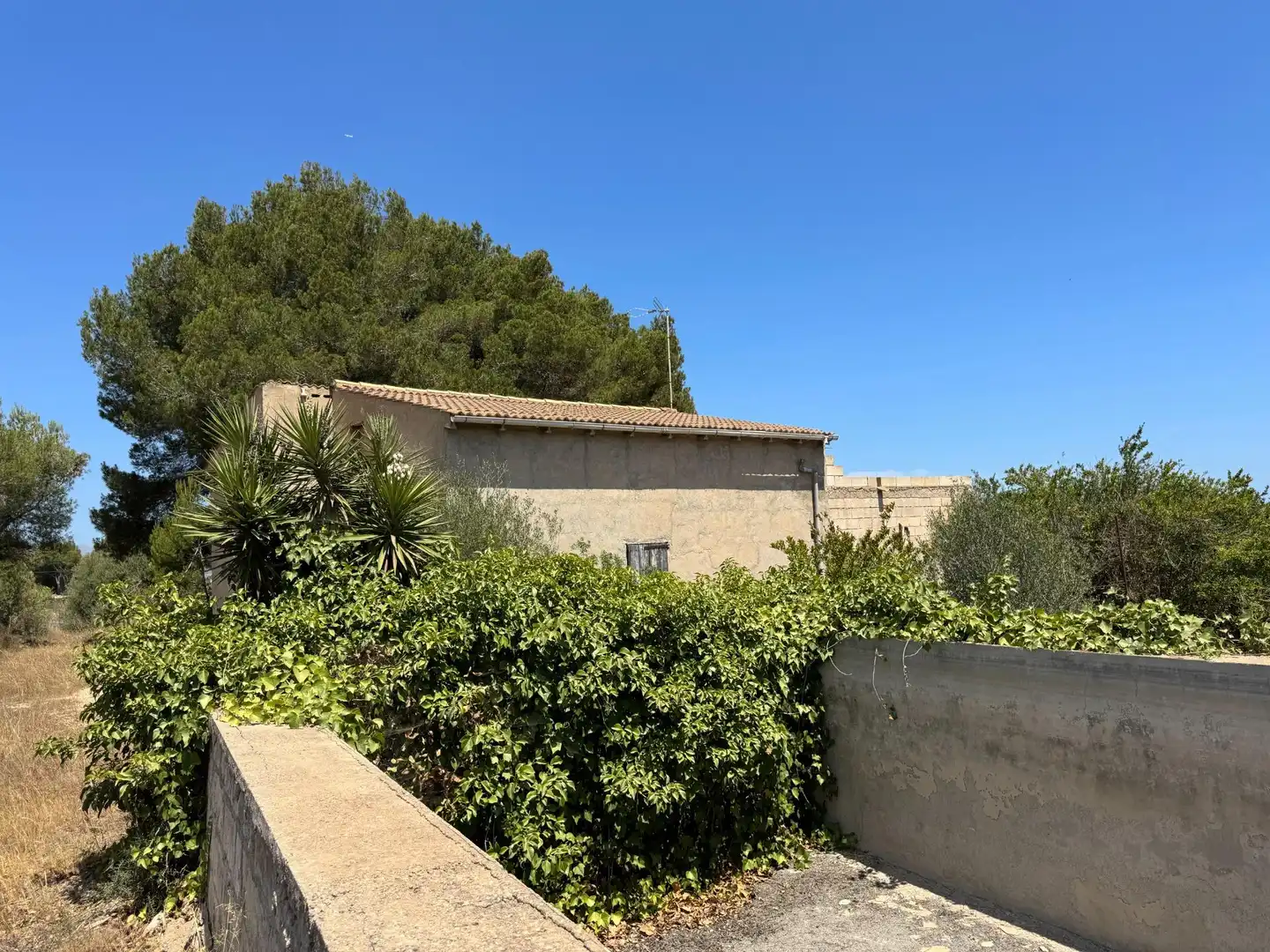 Maison rustique avec jardin à vendre à Muro, imagen 4