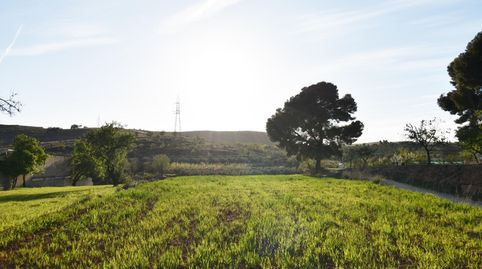 Foto 2 de Terreno en venta en Padul, Granada