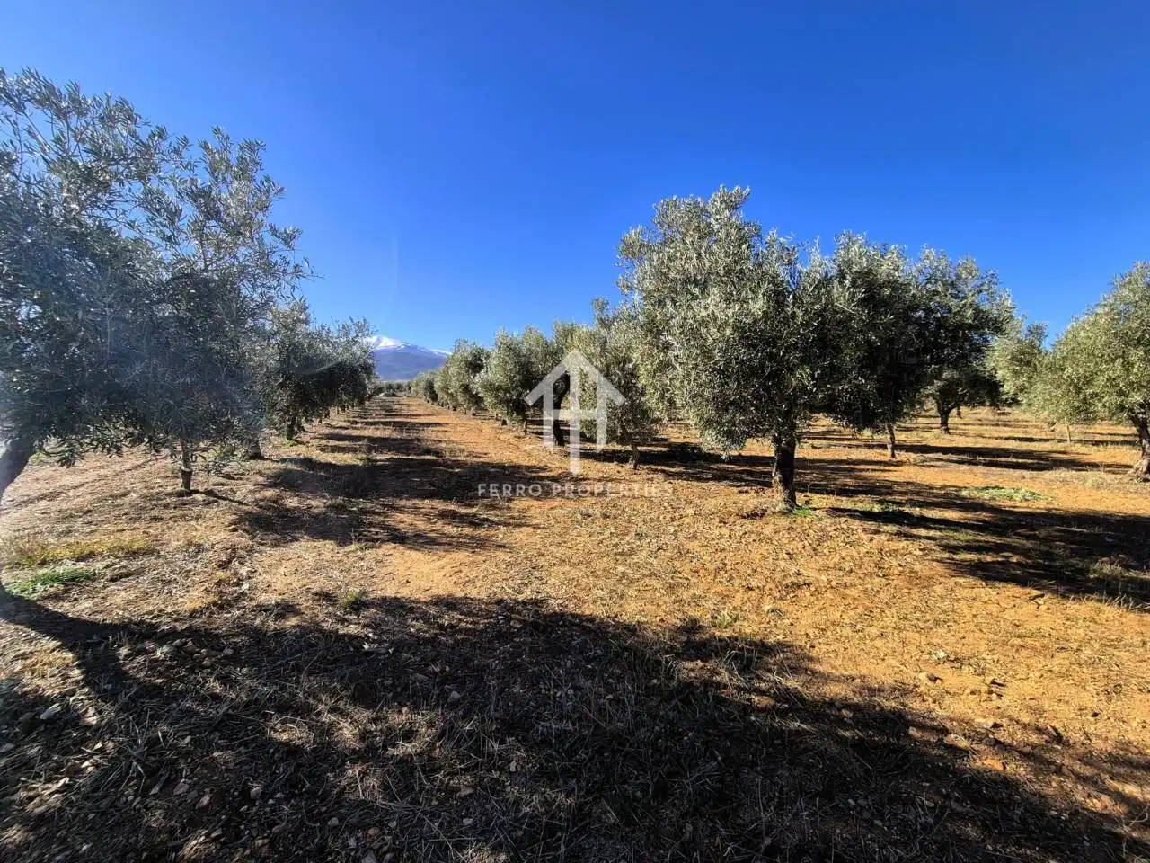 Lands and plots for sale in Lanteira, imagen 58
