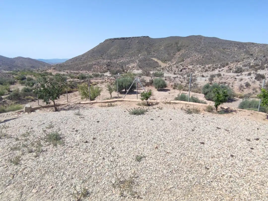 House with garden for sale in Camino Aljambra 0, imagen 6