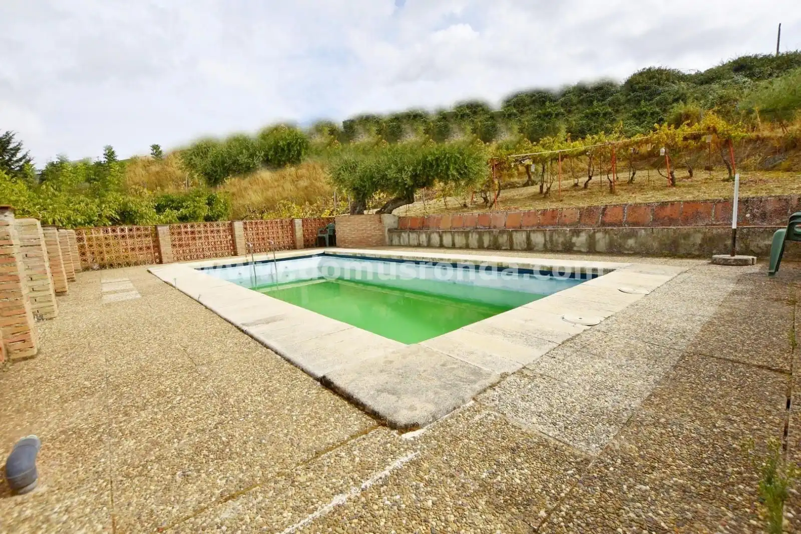 Casa rústica amb piscina en venda a Partidas Norte, imagen 6