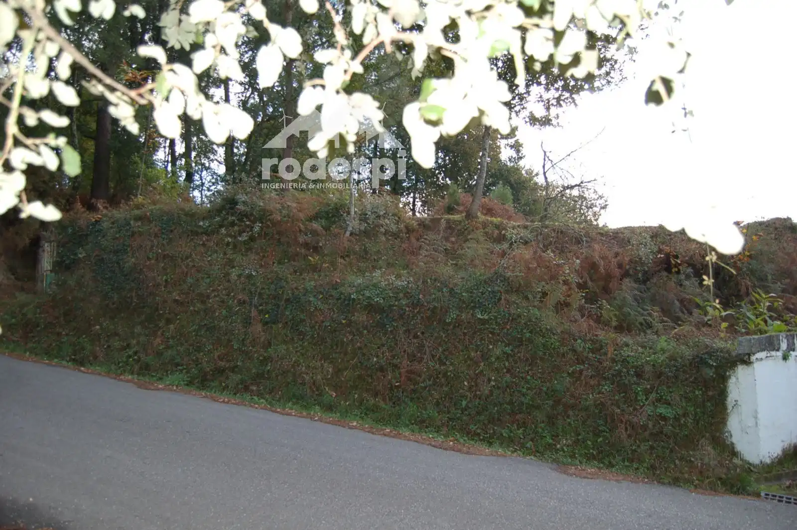 Terrain rustique à vendre à As Neves, imagen 7