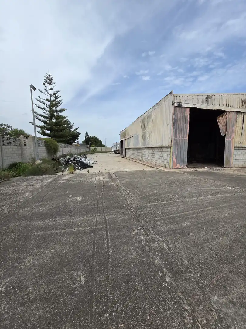 Lands and plots for sale in Sueca ciudad, imagen 10