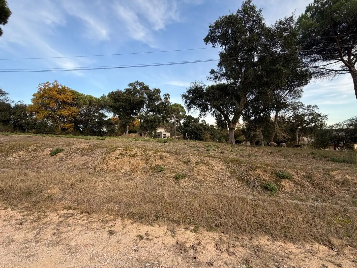 Residencial en venda en Massanes