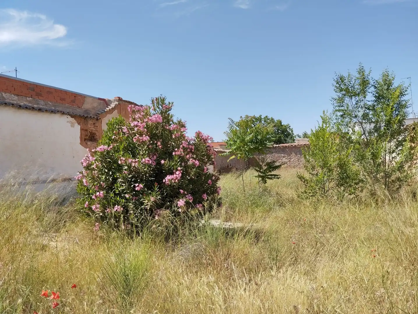 Terreny residencial en venda a Calle Don Gaiferos, imagen 12
