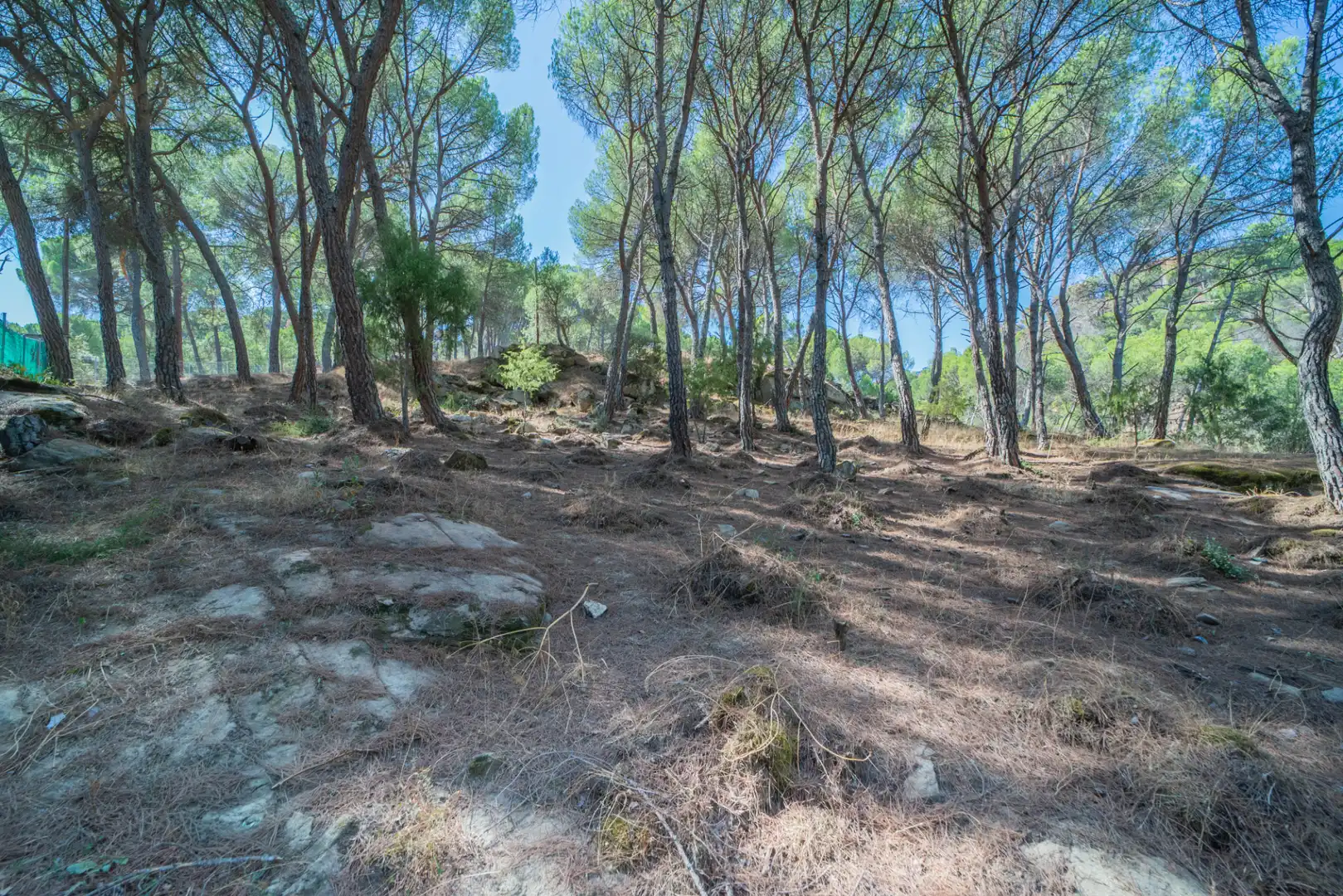 Residencial en venta en San Martín de Valdeiglesias, Madrid