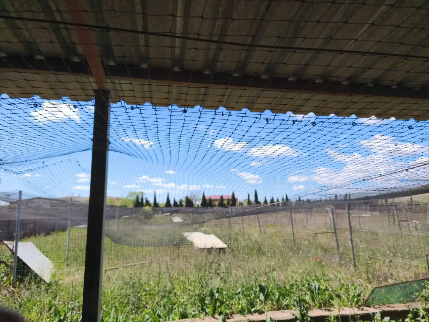 Finca rústica en venta en Alcázar de San Juan
