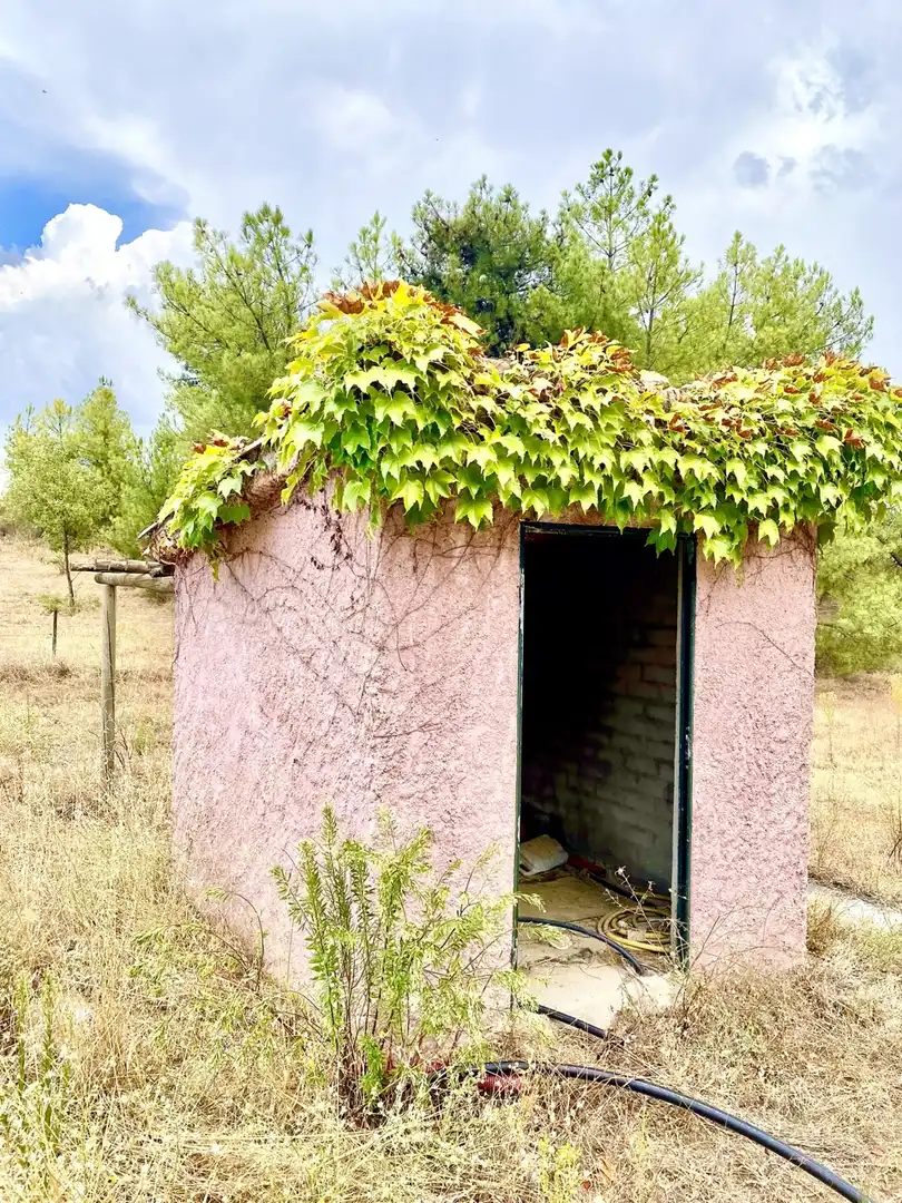 Vista exterior de Finca rústica en venta en Villanueva de la Vera con Calefacción, Jardín privado y Parquet