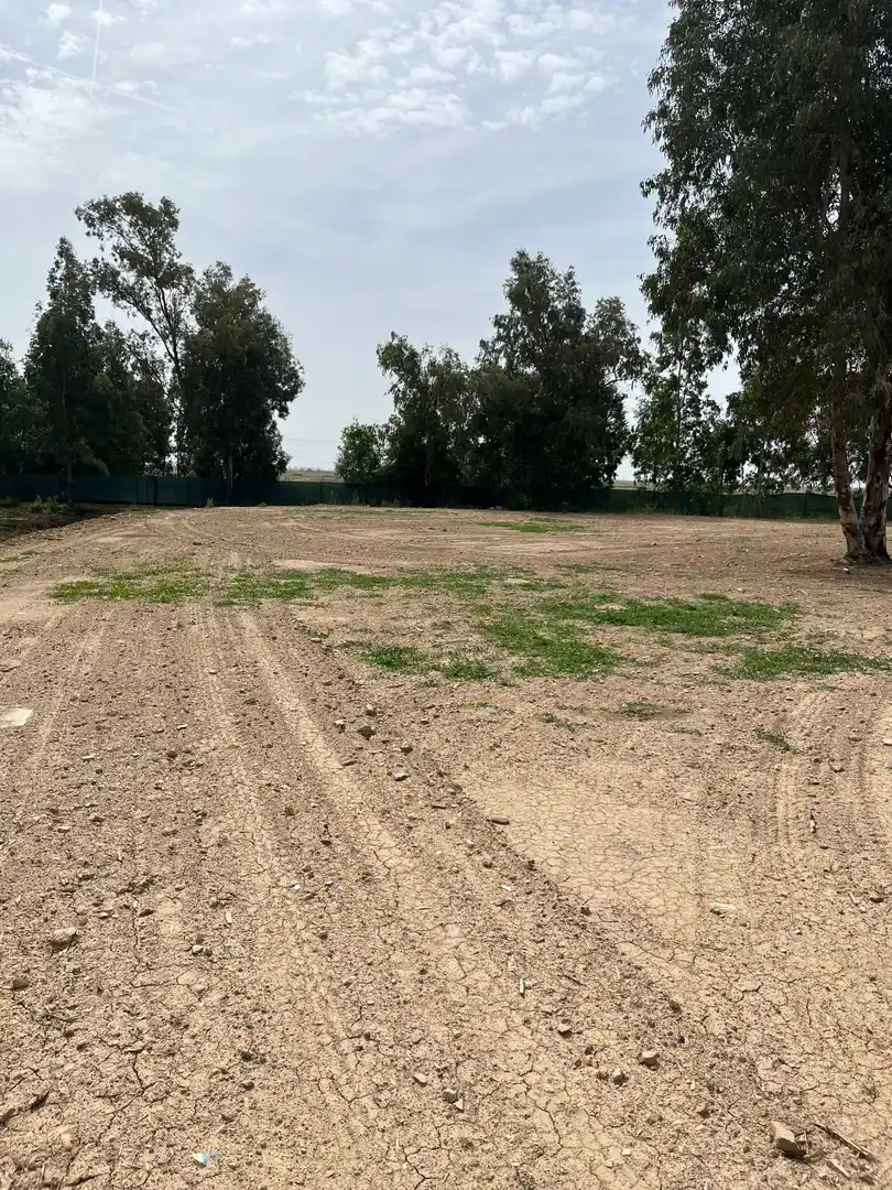 Rural land for sale in Carretera la puebla del rio a guadalcanal km 8,5, imagen 12
