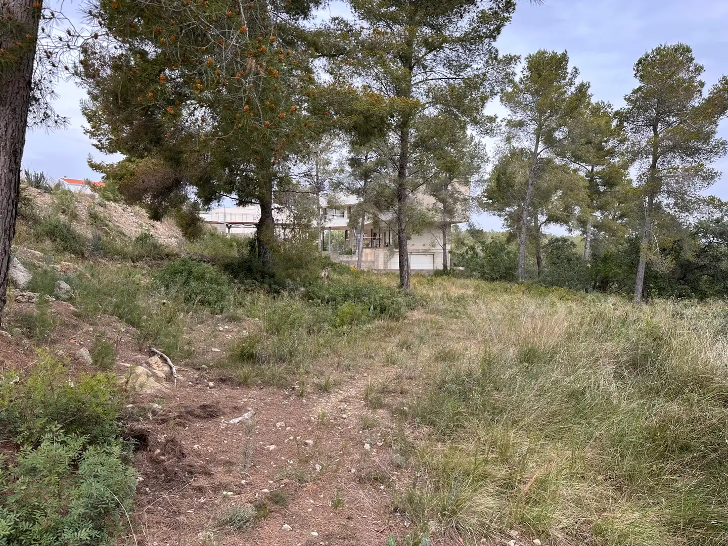 Terreno residencial en venta en Primera Avinguda 41, imagen 6