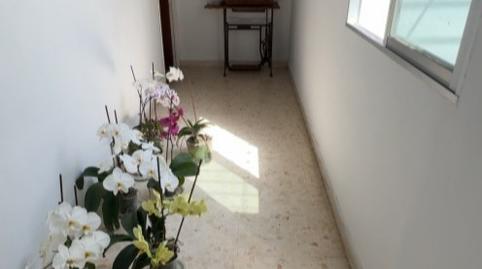 Photo 5 of Country house for sale in Norte - Blanca Paloma, Cádiz