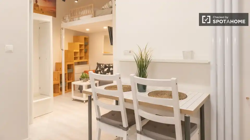 Room in Embajadores - Lavapiés