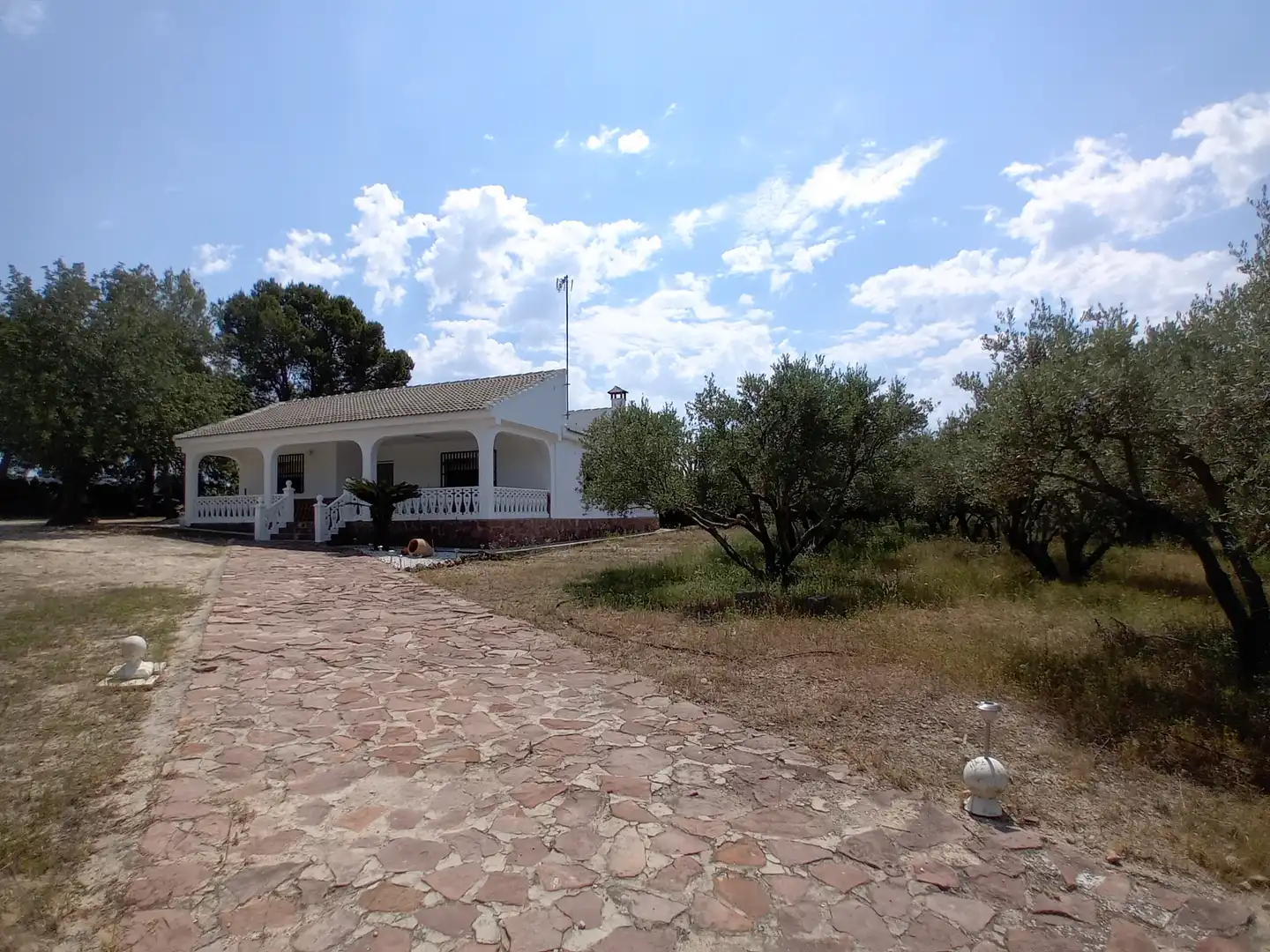 Jardín de Casa o chalet en venta en Torrent con Jardín privado, Terraza y Piscina
