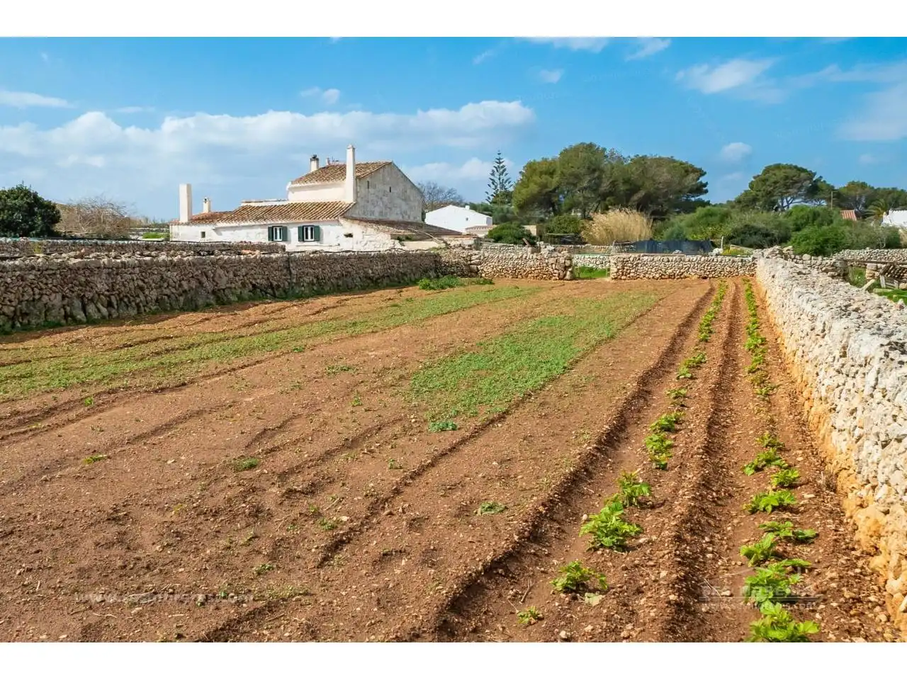 Maison rustique avec jardin à vendre à Sant Lluís - S'Ullestrar - Torret, imagen 5