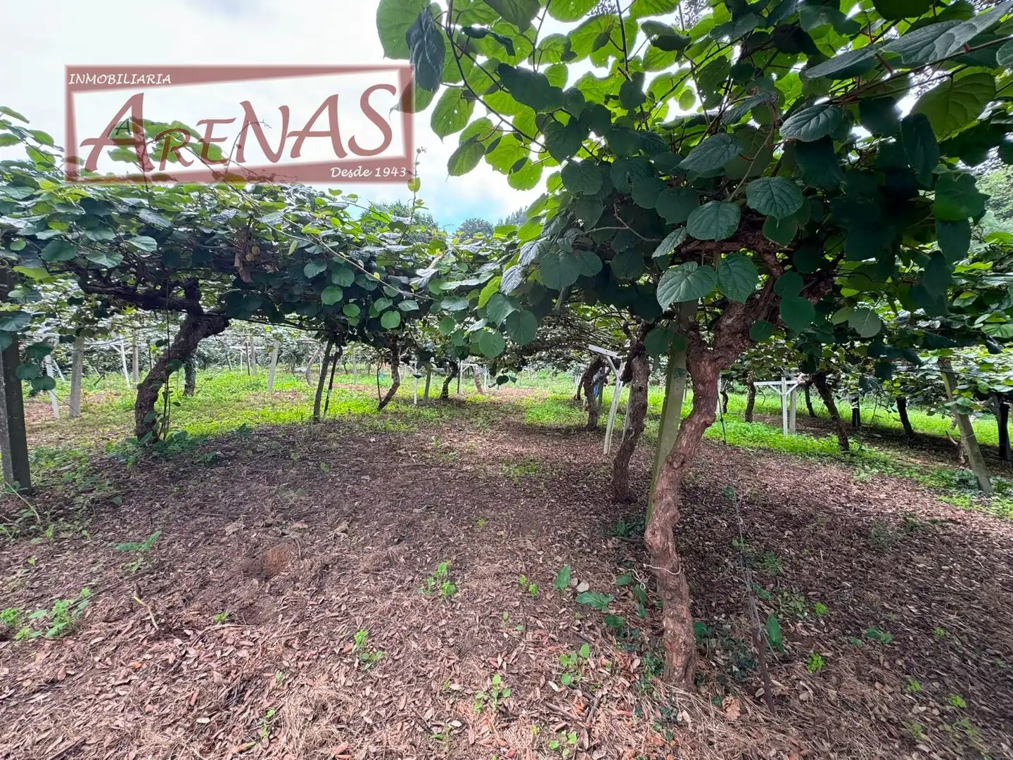 Land for sale in Marina de Cudeyo