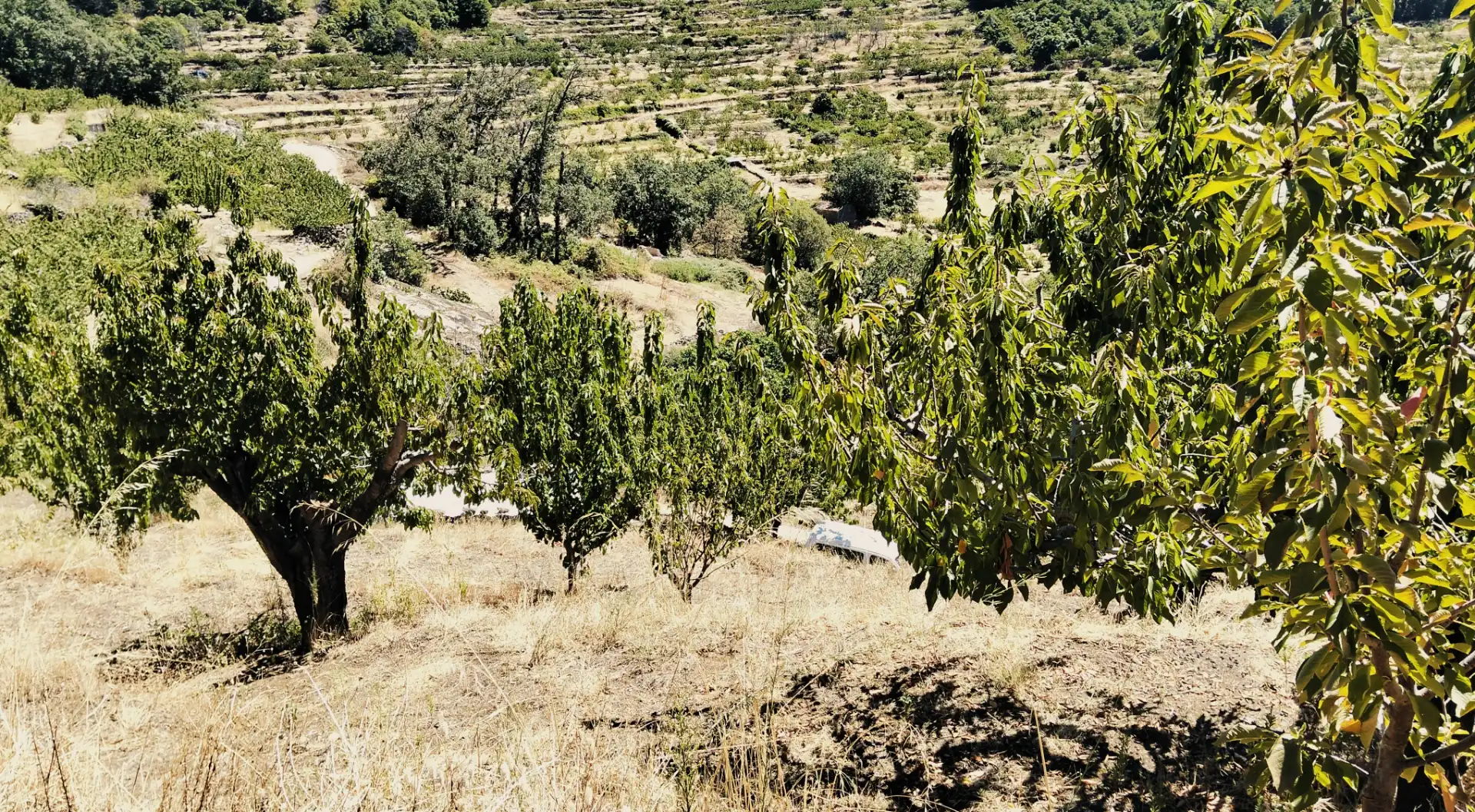 Terreni e lotti in vendita a N/A, imagen 17