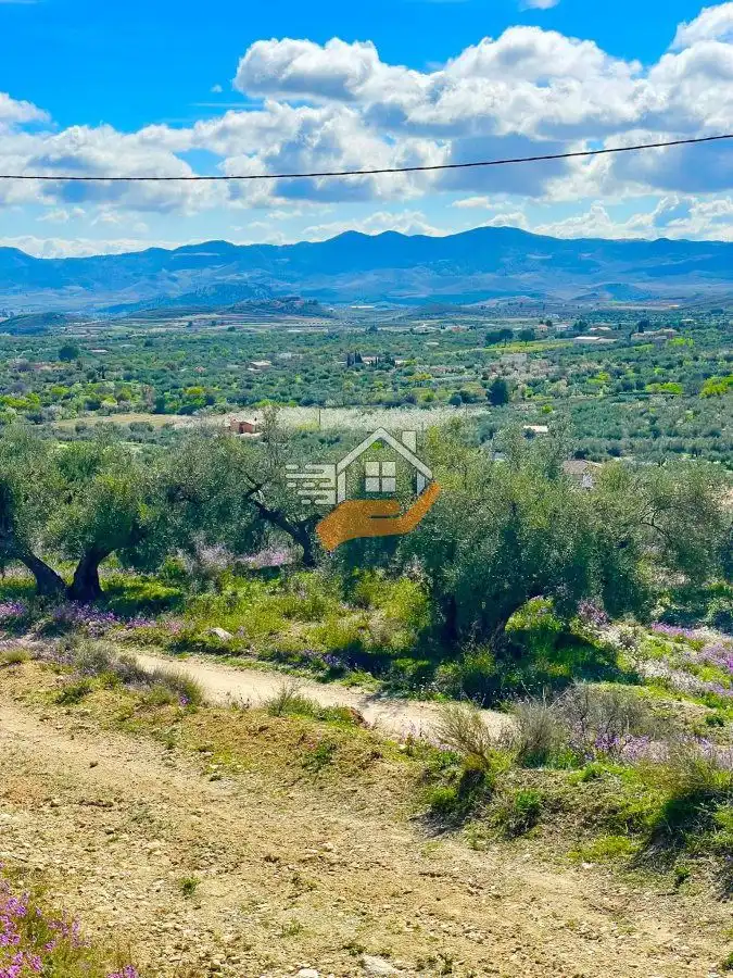 Terrenos y solares en venta en Vélez-Blanco, imagen 8