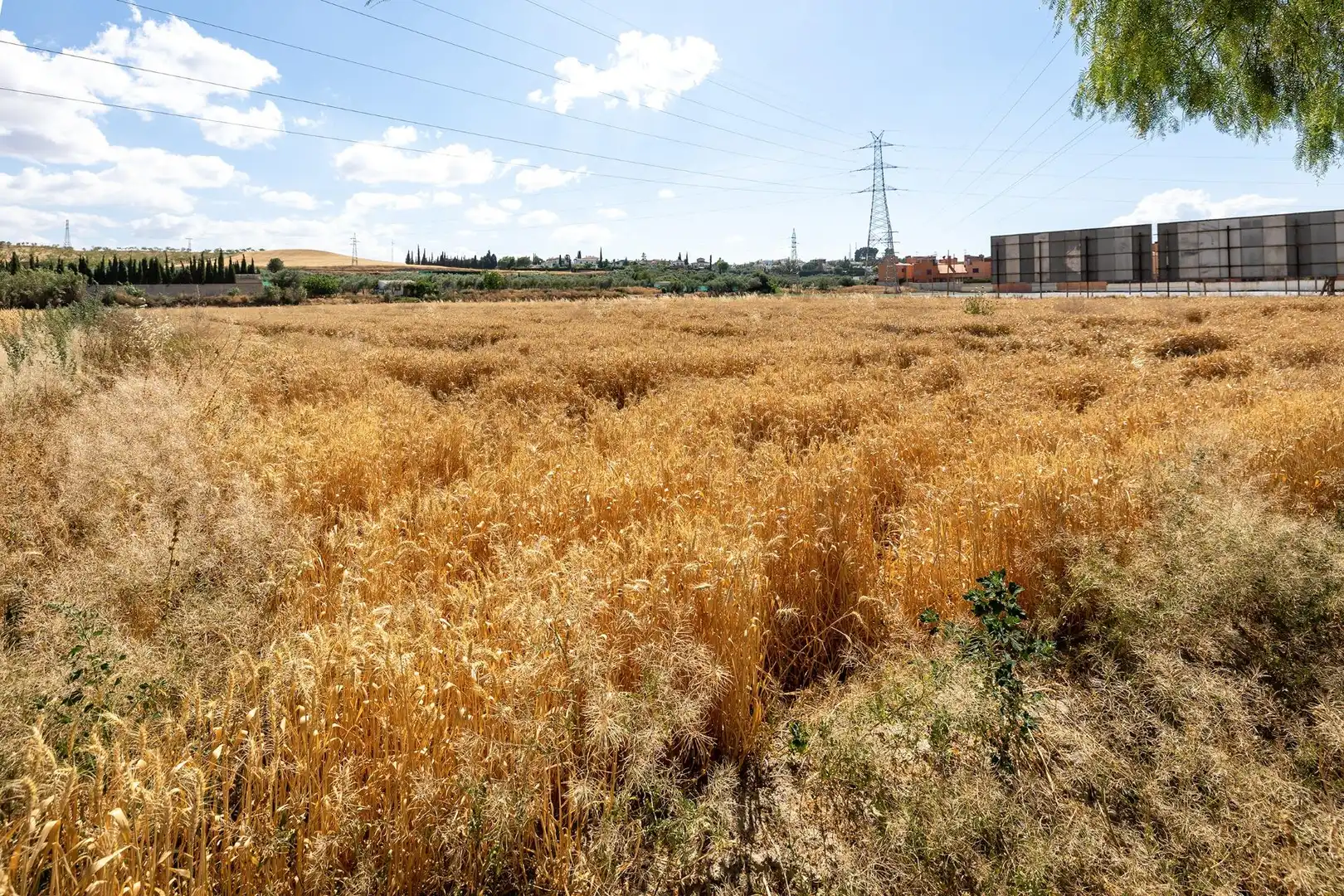 Residential land for sale in Híjar, imagen 10
