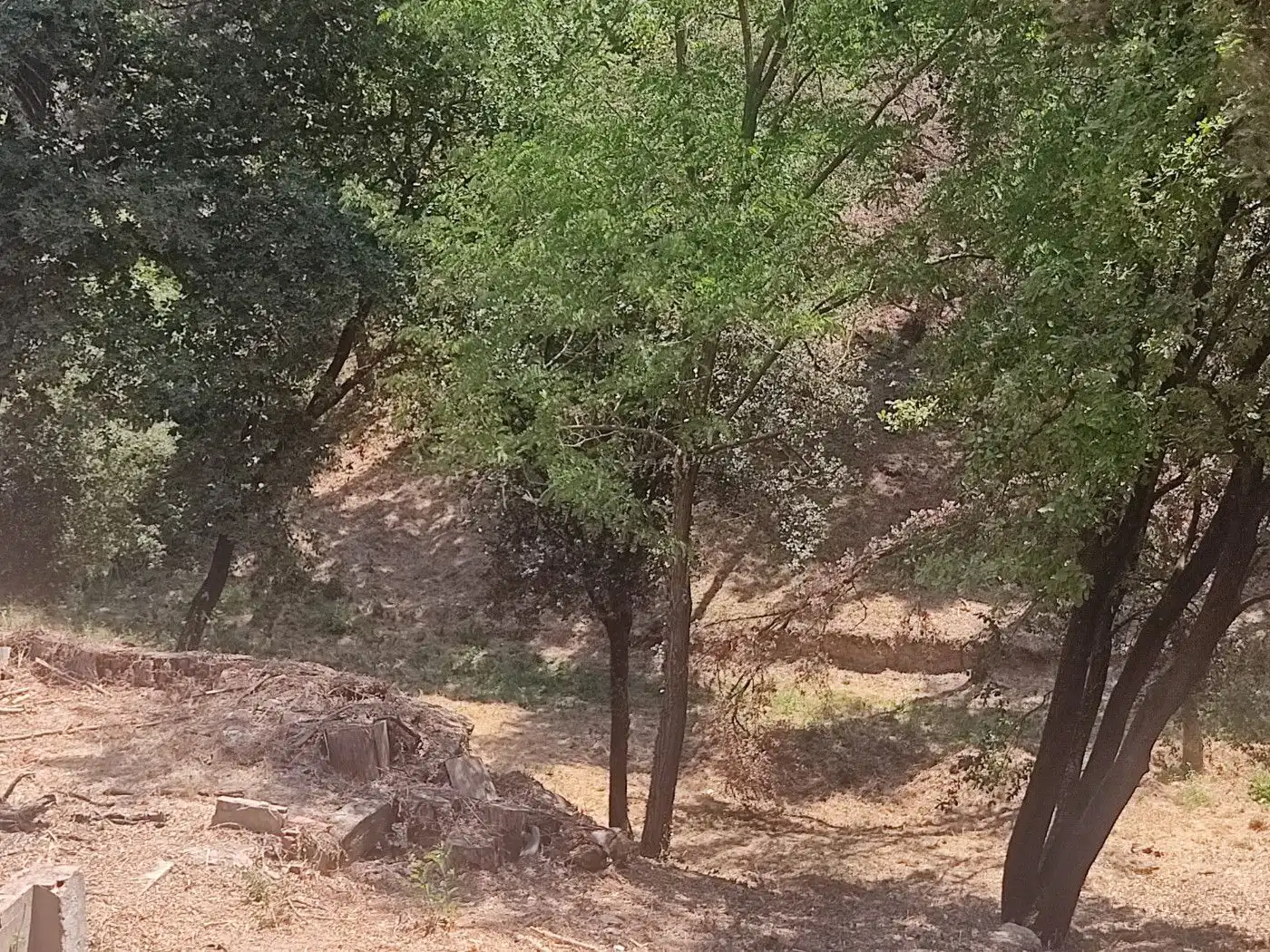 Terreny residencial en venda a Cànoves I Samalús, imagen 9